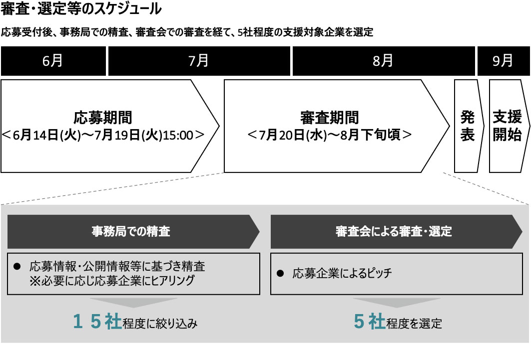審査・選定等のスケジュール
